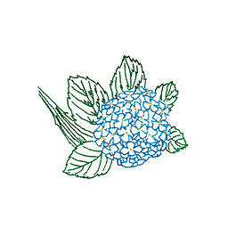 繡花 植物 花朵 免費(fèi)素材