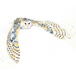 位圖 插畫(huà) 時(shí)尚插畫(huà) 動(dòng)物插畫(huà) 藝術(shù)效果 免費(fèi)素材