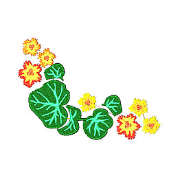 繡花 植物 花朵 免費素材