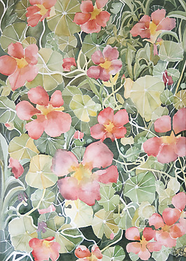 位圖 植物 寫(xiě)意花卉 花朵 免費(fèi)素材