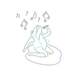 烫钻 动物 青蛙 音乐元素 音符 免费素材