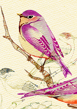 位圖 插畫 時尚插畫 動物插畫 藝術(shù)效果 免費素材