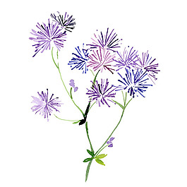 位圖 植物 寫意花卉 花朵 免費(fèi)素材