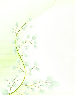 摘要花卉背景矢量