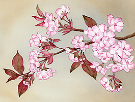 位圖 植物 寫意花卉 花朵 免費(fèi)素材