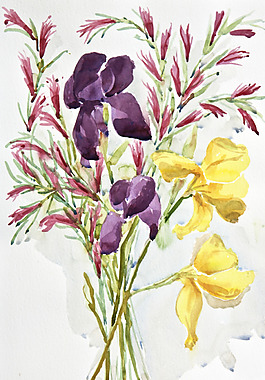 位圖 植物 寫意花卉 花朵 鳶尾 免費素材