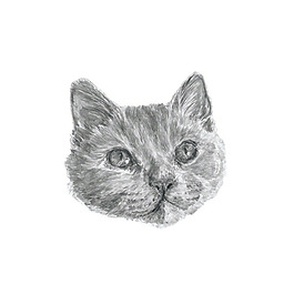 位圖 插畫 時尚插畫 動物插畫 藝術(shù)效果 免費素材