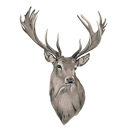 位圖 插畫 時尚插畫 動物插畫 藝術(shù)效果 免費素材