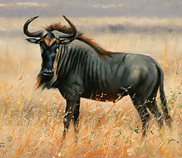 位圖 插畫 時尚插畫 動物插畫 藝術(shù)效果 免費素材