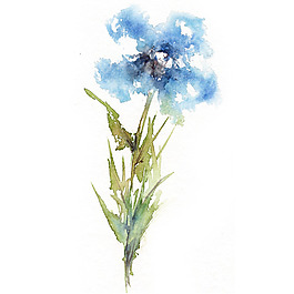 位圖 植物 寫意花卉 花朵 免費素材