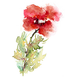 位圖 植物 寫意花卉 花朵 免費素材