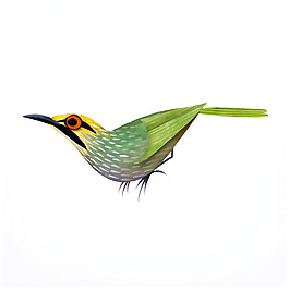 位圖 插畫 時(shí)尚插畫 卡通插畫 動(dòng)物插畫 免費(fèi)素材
