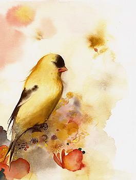 位圖 插畫 時尚插畫 動物插畫 插畫師 免費(fèi)素材