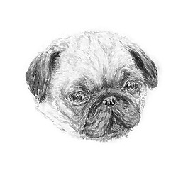 位圖 插畫 時尚插畫 動物插畫 小狗 免費素材