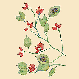 位圖 植物 寫(xiě)意花卉 花朵 免費(fèi)素材