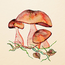 位圖 插畫 時尚插畫 植物插畫 植物 免費(fèi)素材