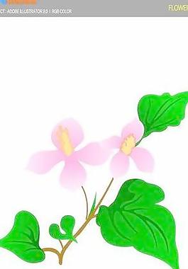 花卉韓國矢量圖019
