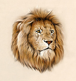 位圖 插畫 時尚插畫 動物插畫 插畫師 免費素材