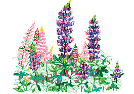 位圖 插畫 時(shí)尚插畫 植物插畫 藝術(shù)效果 免費(fèi)素材