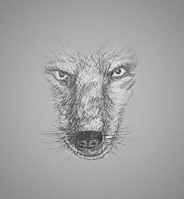 位圖 插畫 時尚插畫 動物插畫 插畫師 免費(fèi)素材