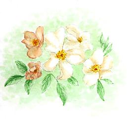 位圖 植物 寫意花卉 花朵 免費素材