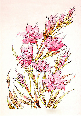 位圖 植物 寫意花卉 花朵 免費素材