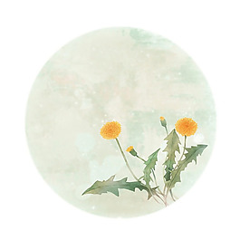 位圖 插畫(huà) 植物插畫(huà) 藝術(shù)效果 手繪 免費(fèi)素材