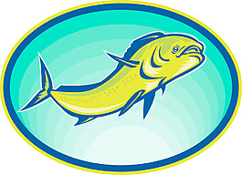海豚魚鰍