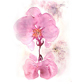 位圖 植物 寫(xiě)意花卉 花朵 免費(fèi)素材