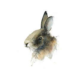 位圖 插畫(huà) 動(dòng)物插畫(huà) 插畫(huà)師 Amber 免費(fèi)素材