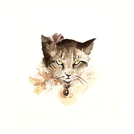 位圖 插畫(huà) 動(dòng)物插畫(huà) 插畫(huà)師 Amber 免費(fèi)素材