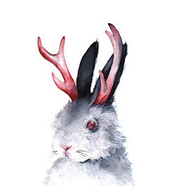 位圖 插畫(huà) 動(dòng)物插畫(huà) 插畫(huà)師 Amber 免費(fèi)素材