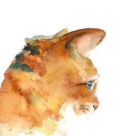 位圖 插畫(huà) 動(dòng)物插畫(huà) 插畫(huà)師 Amber 免費(fèi)素材