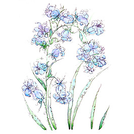位圖 植物 寫(xiě)意花卉 花朵 免費(fèi)素材
