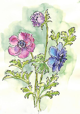 位圖 植物 寫意花卉 花朵 免費素材