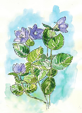 位圖 植物 寫(xiě)意花卉 花朵 免費(fèi)素材