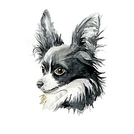 位圖 插畫(huà) 動(dòng)物插畫(huà) 藝術(shù)效果 手繪 免費(fèi)素材