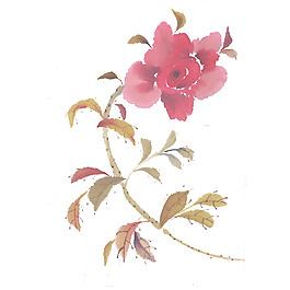 位圖 植物 寫(xiě)意花卉 花朵 免費(fèi)素材