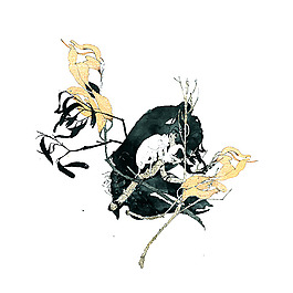 位圖 插畫 時(shí)尚插畫 藝術(shù)效果 手繪 免費(fèi)素材