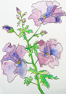 位圖 植物 寫意花卉 花朵 免費(fèi)素材