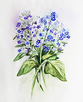 位圖 植物 寫意花卉 花朵 免費(fèi)素材