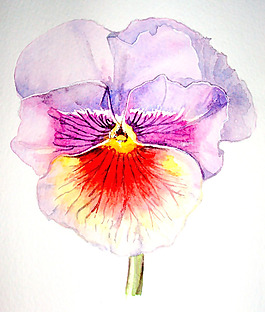 位圖 植物 寫意花卉 花朵 蘭花 免費(fèi)素材