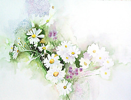 位圖 植物 寫意花卉 花朵 雛菊 免費(fèi)素材