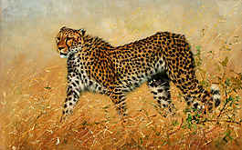 位圖 插畫 時尚插畫 動物插畫 藝術效果 免費素材