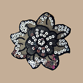 亮片 植物 花朵 免費素材