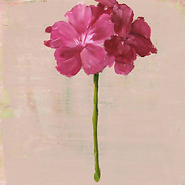 位圖 植物 寫意花卉 花朵 免費素材