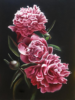 位圖 植物 寫(xiě)意花卉 花朵 免費(fèi)素材