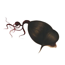 位圖 插畫 時(shí)尚插畫 人物插畫 藝術(shù)效果 免費(fèi)素材