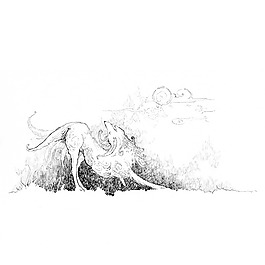 位圖 插畫 動(dòng)物插畫 插畫師 Socar 免費(fèi)素材