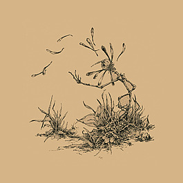 位圖 插畫 植物插畫 插畫師 Socar 免費(fèi)素材